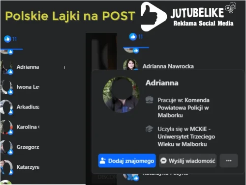 Przykład kampanii Polskie Lajki na FB Post Film